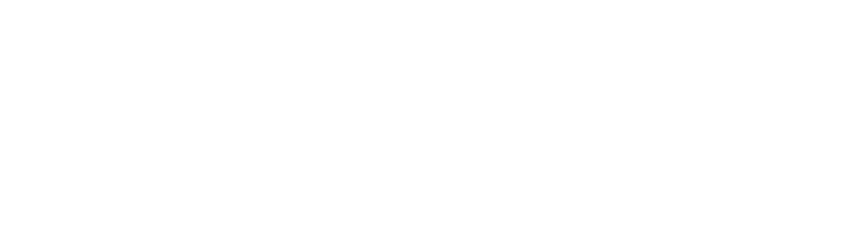 lusstee-new-york-logo-white